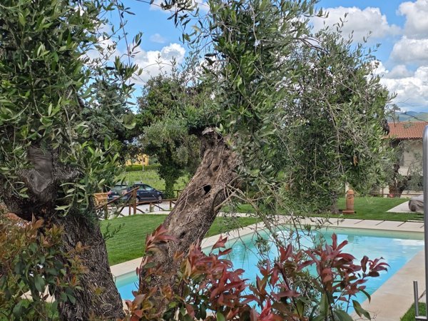 casa indipendente in vendita a Castagneto Carducci in zona Bolgheri