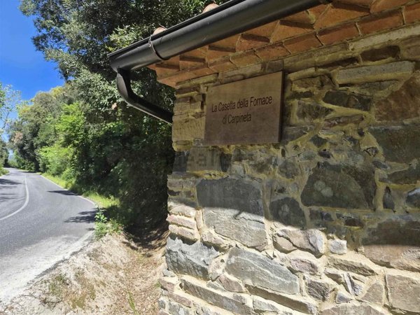 locale di sgombero in vendita a Castagneto Carducci