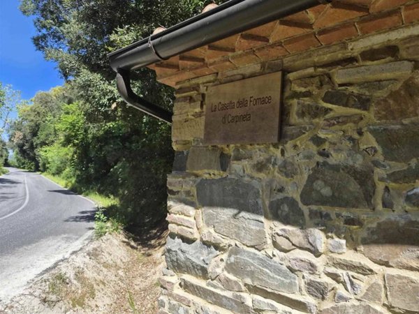 locale di sgombero in vendita a Castagneto Carducci