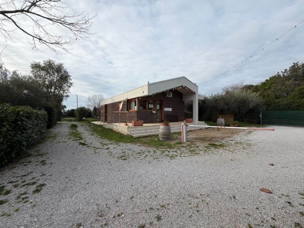 negozio in vendita a Castagneto Carducci