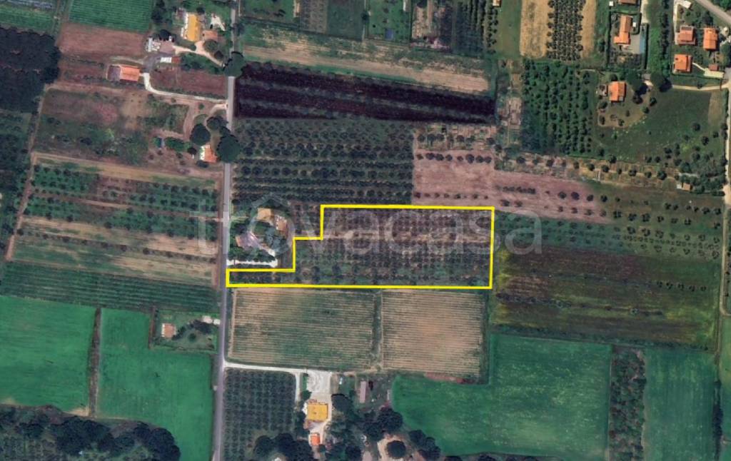 terreno agricolo in vendita a Castagneto Carducci in zona Donoratico