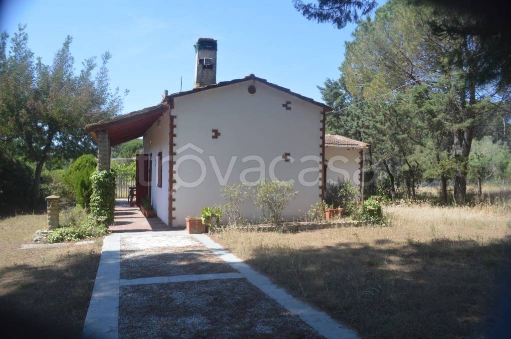 casa indipendente in vendita a Castagneto Carducci in zona Donoratico