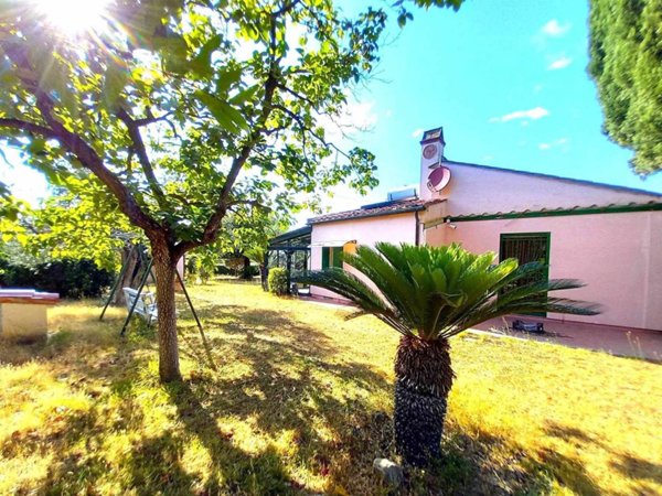 casa indipendente in vendita a Castagneto Carducci in zona Bolgheri