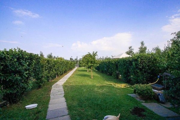 appartamento in vendita a Castagneto Carducci in zona Bolgheri
