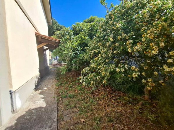 appartamento in vendita a Castagneto Carducci in zona Donoratico