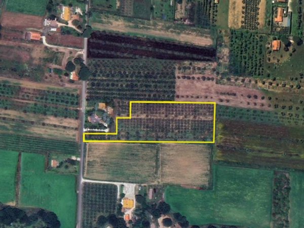 terreno agricolo in vendita a Castagneto Carducci in zona Donoratico