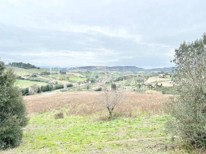 terreno agricolo in vendita a Cecina