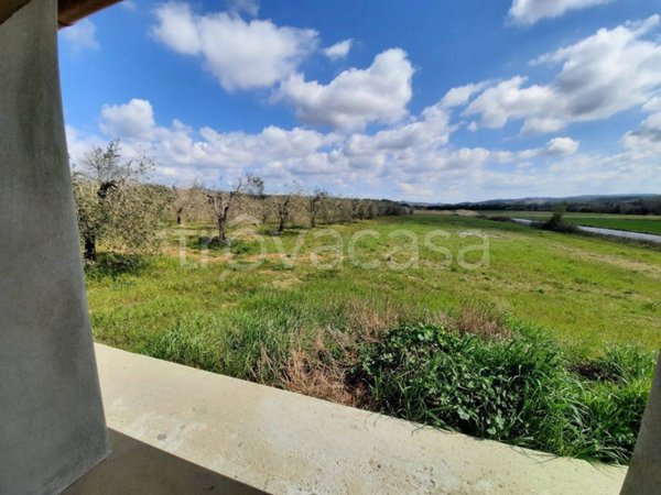 terreno agricolo in vendita a Cecina