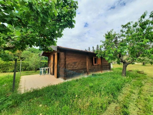 terreno agricolo in vendita a Cecina