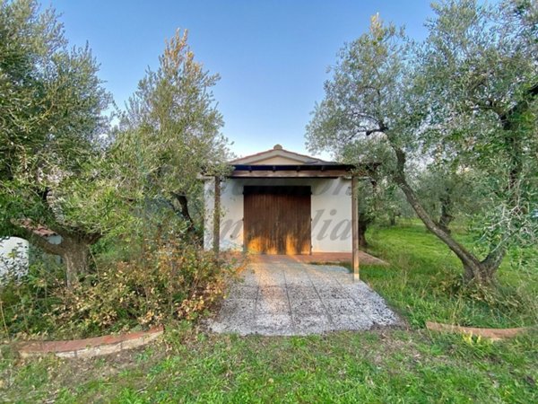 appartamento in vendita a Cecina