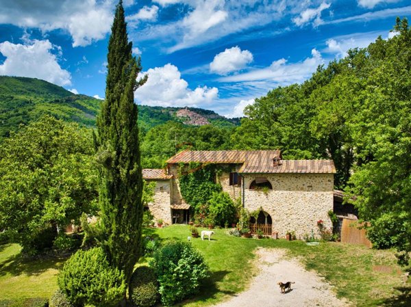 casa indipendente in vendita a Cecina