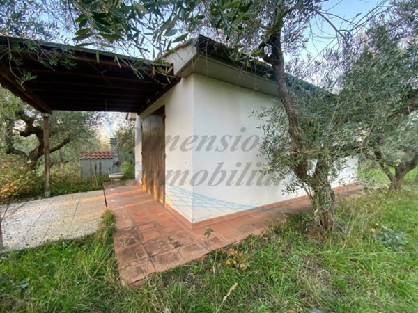 terreno agricolo in vendita a Cecina