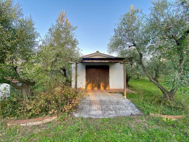 terreno agricolo in vendita a Cecina