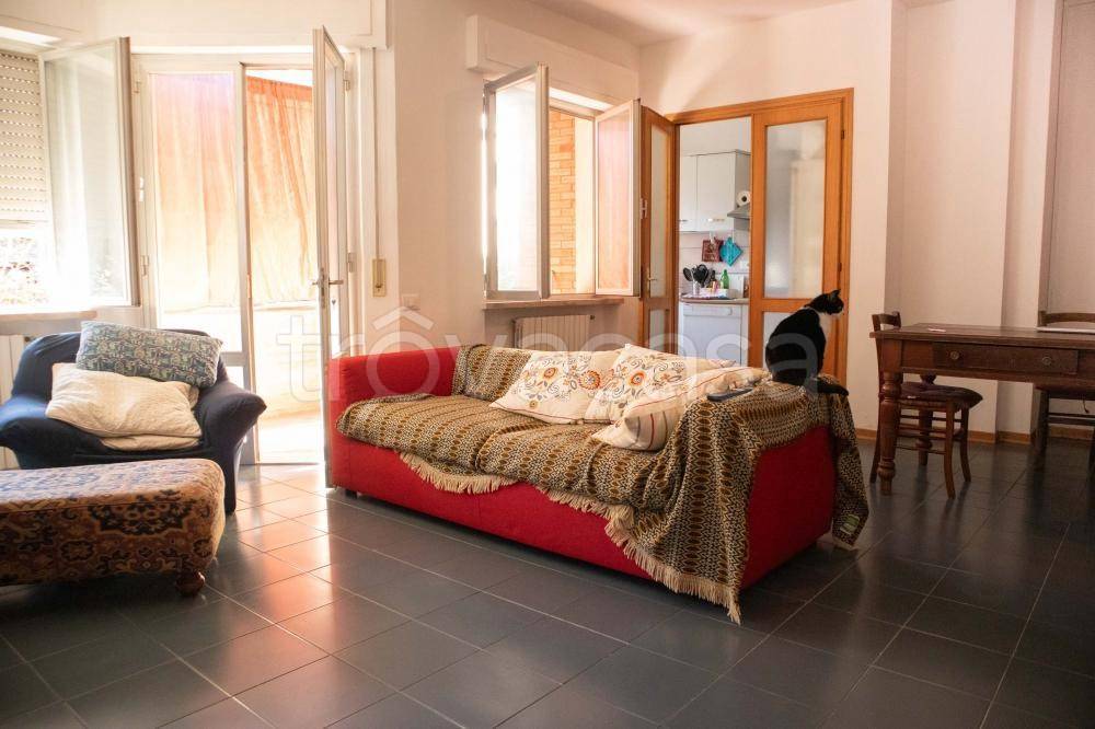 appartamento in vendita a Cecina