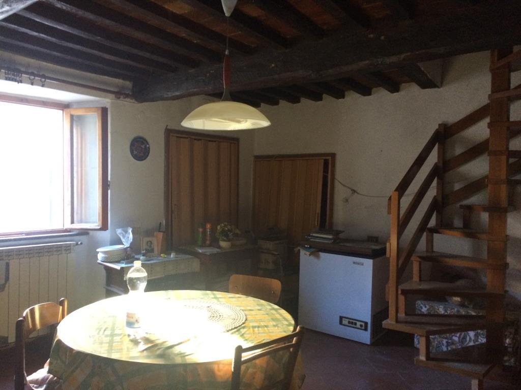 appartamento in vendita a Cecina