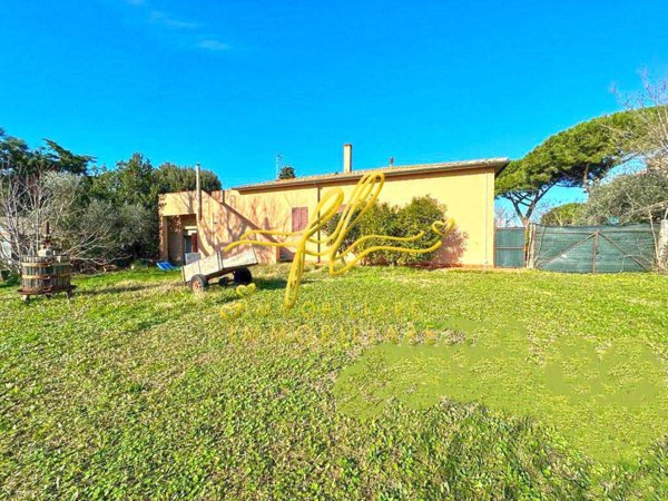 casa indipendente in vendita a Cecina