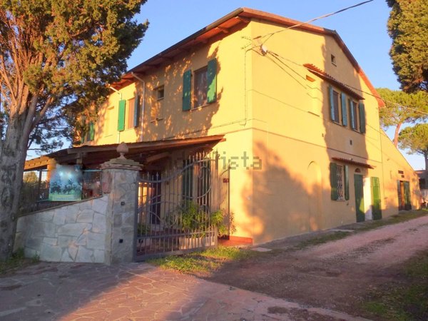 azienda agricola in vendita a Cecina