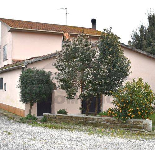 casa indipendente in vendita a Cecina