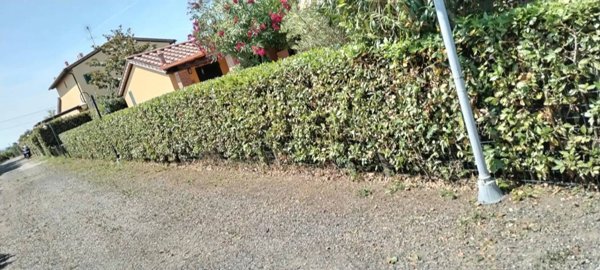 appartamento in vendita a Cecina
