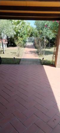 appartamento in vendita a Cecina