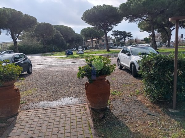 negozio in vendita a Cecina