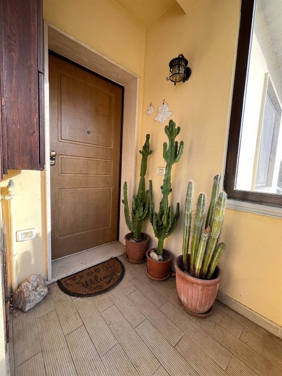 appartamento in vendita a Cecina