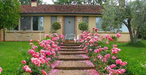 casa indipendente in vendita a Cecina