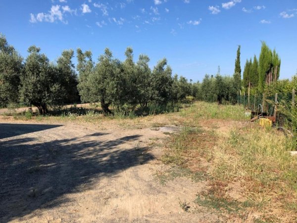 casa indipendente in vendita a Cecina