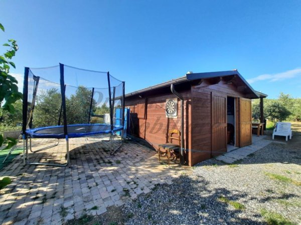 terreno agricolo in vendita a Cecina