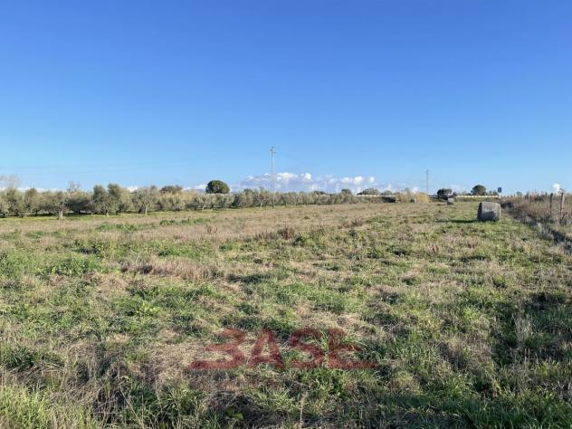 terreno agricolo in vendita a Cecina