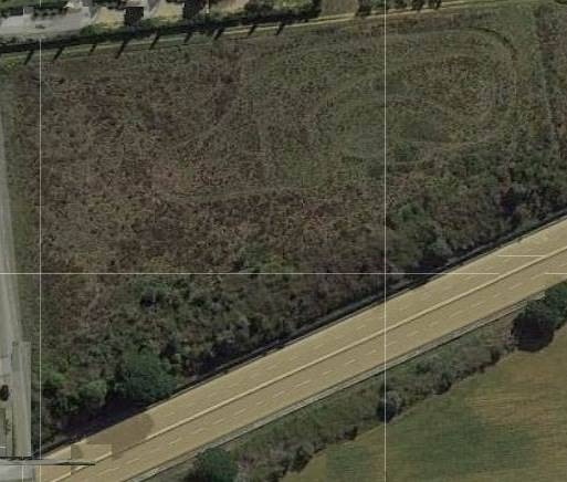 terreno agricolo in vendita a Cecina
