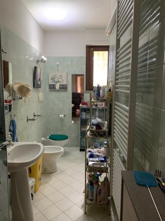 appartamento in vendita a Cecina