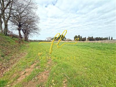 terreno agricolo in vendita a Cecina