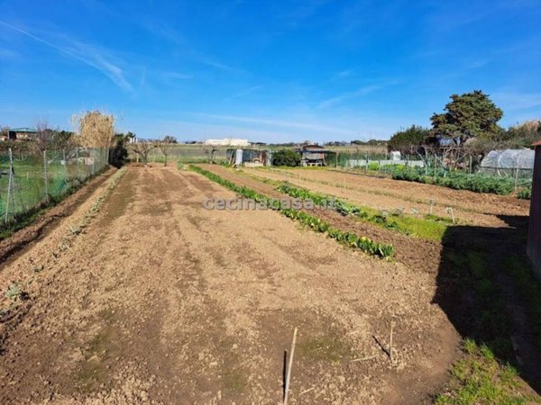 terreno agricolo in vendita a Cecina