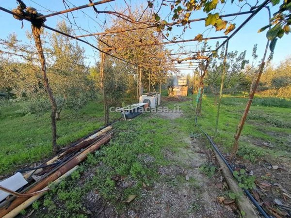 terreno agricolo in vendita a Cecina