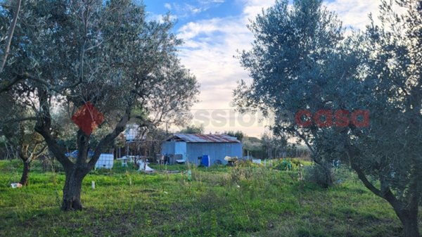 villetta a schiera in vendita a Cecina