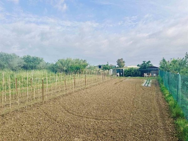 terreno agricolo in vendita a Cecina