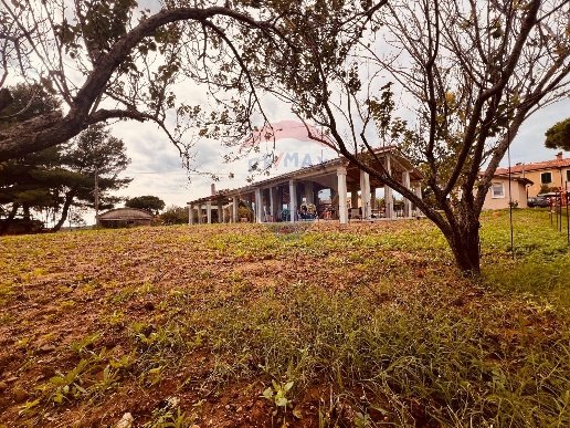 appartamento in vendita a Cecina