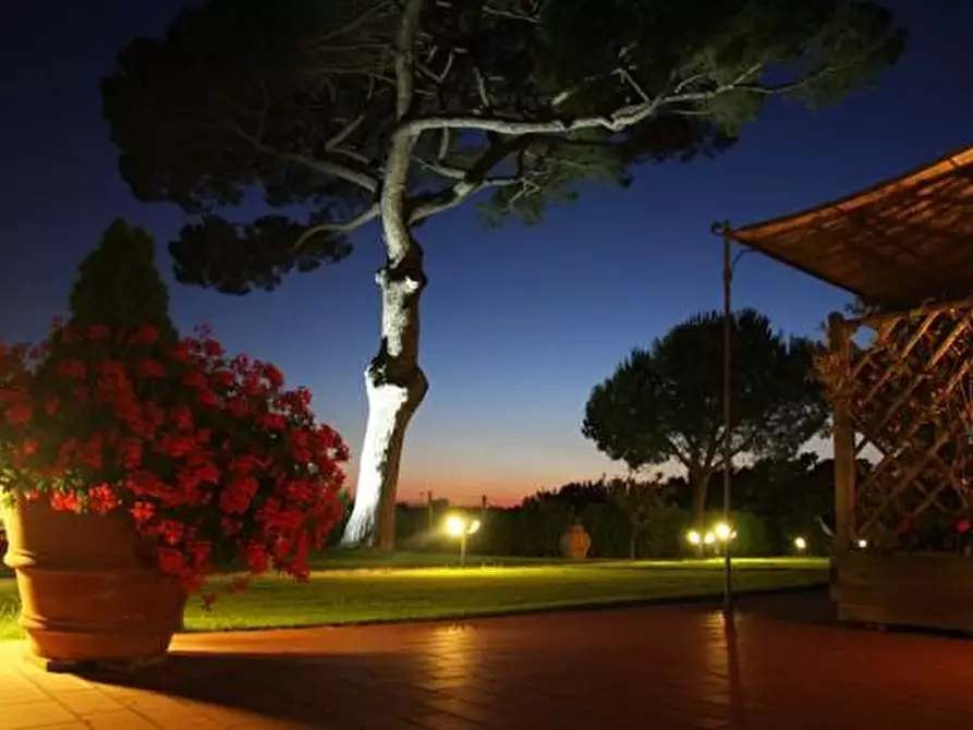 appartamento in vendita a Cecina