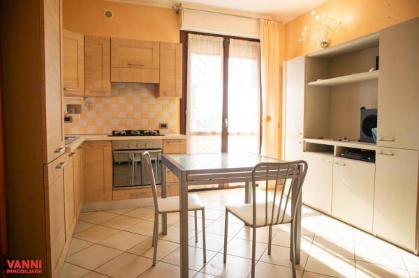 appartamento in vendita a Cecina