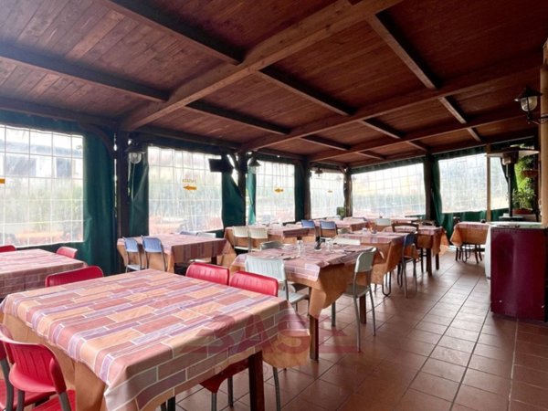 negozio in vendita a Cecina