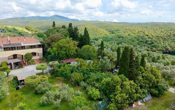 appartamento in vendita a Cecina