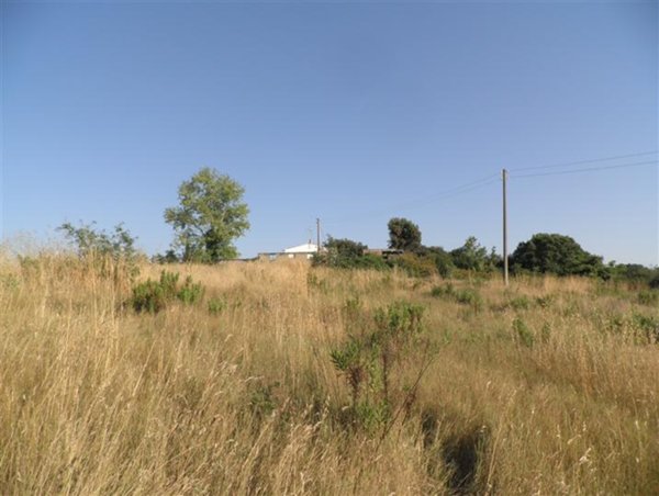 appartamento in vendita a Cecina