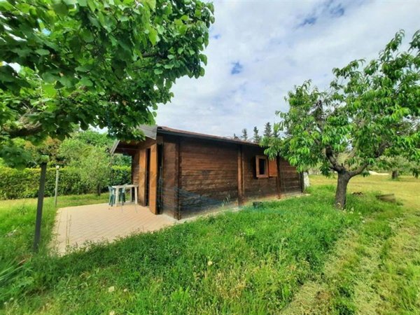 terreno agricolo in vendita a Cecina