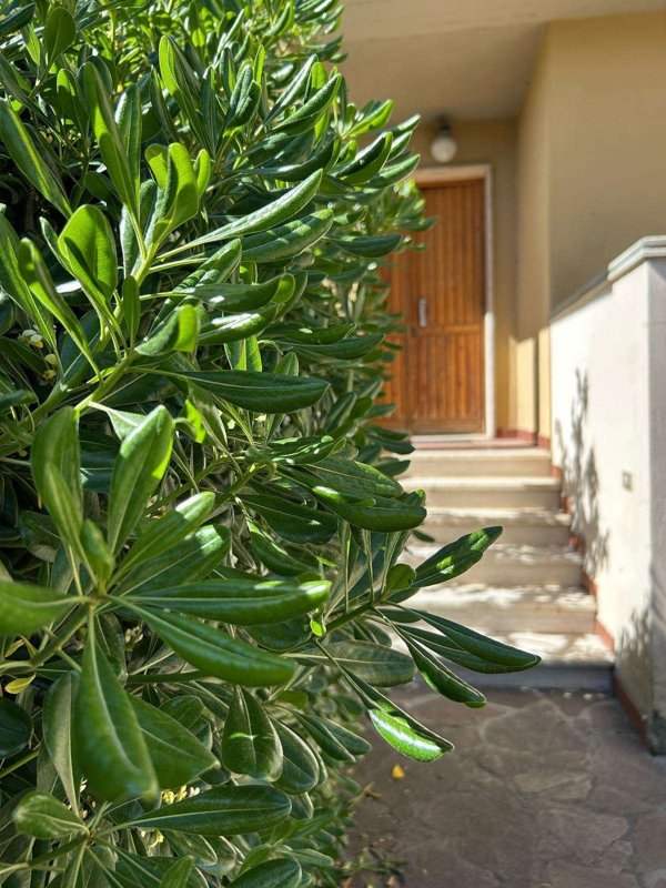 appartamento in vendita a Cecina