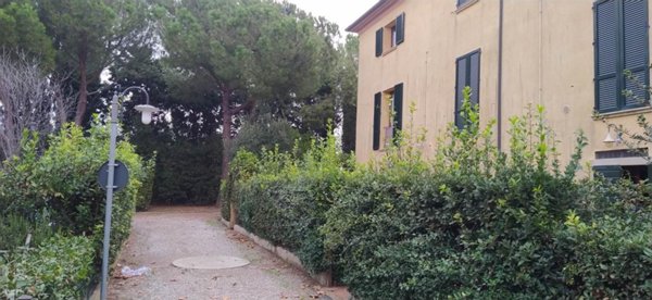 immagine annuncio 0 di 15