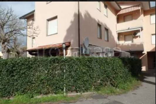 appartamento in vendita a Cecina