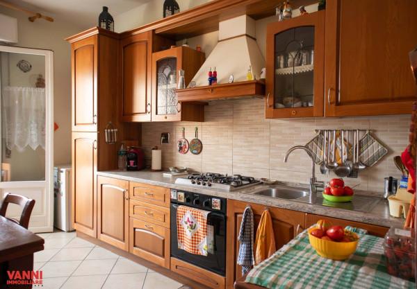 appartamento in vendita a Cecina