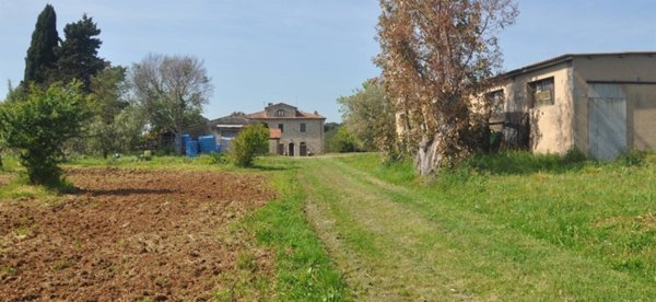 locale di sgombero in vendita a Cecina