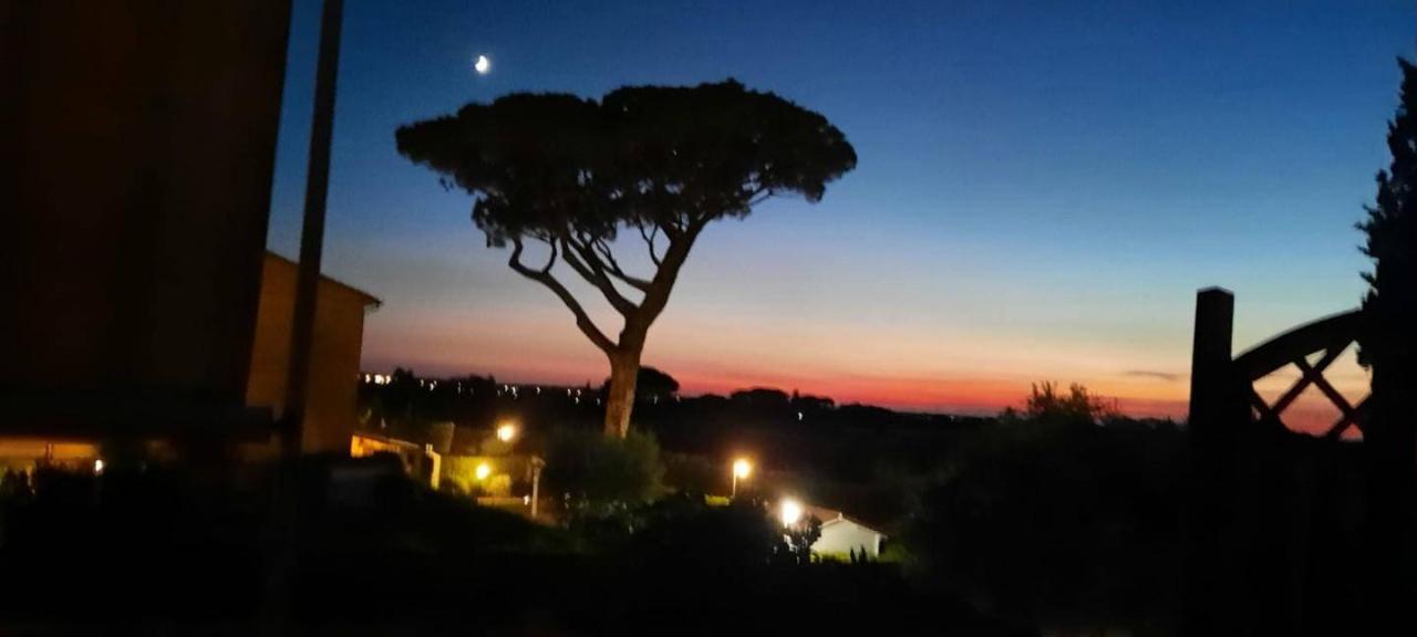 immagine annuncio 0 di 15